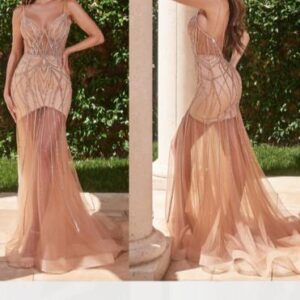 Vestidos Recepción